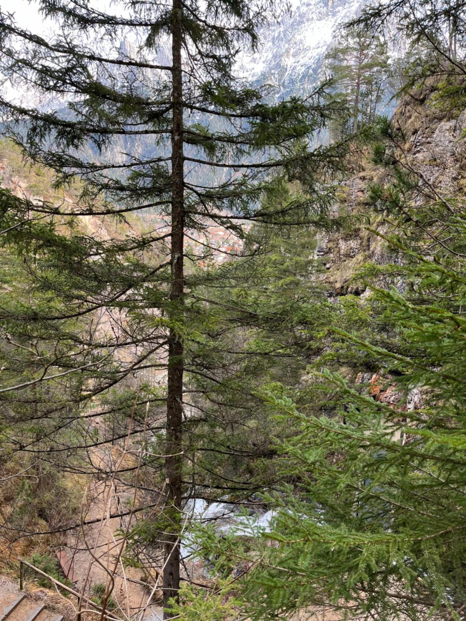 Fewo Lautersee Mittenwald Exteriér fotografie